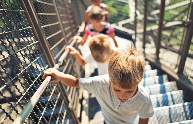 Eiffel Tower Climb - Photo 3