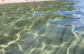 Domus in Horto - Foto 37