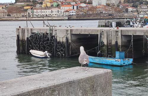 Douro Porto View - Photo 45