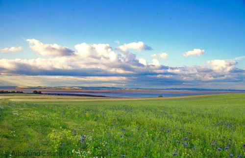 Beachcombers - Foto 62