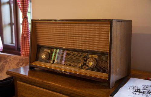 Vila Trnoružica - Foto 24