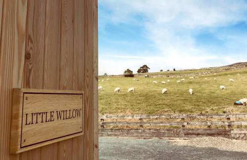 Little Willow - Uk5998 - Foto 17