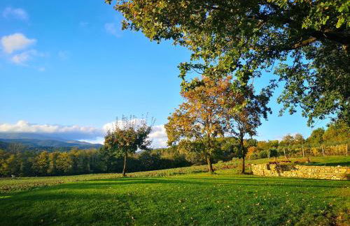 Palazzolo Resort - Anghiari - Foto 65