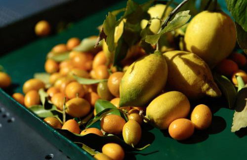 Le Vetrate sul Lago Lake Como Amazing View - Foto 56