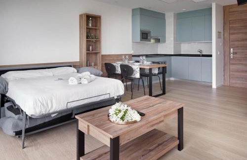 Mantulene Apartments - Basque Stay - Foto 9