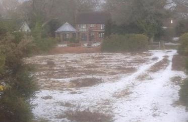 Holmans NEW FOREST - Photo 37