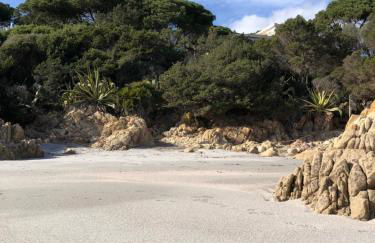 Casa Sa Murta - Foto 19