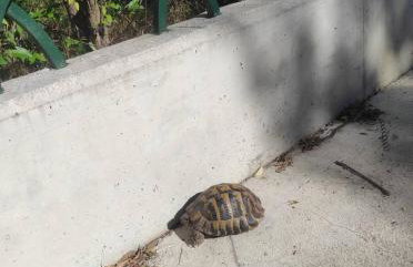 THE STONE HOUSE - Foto 25