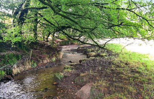 Kingfisher Cottage, 20 - Foto 20