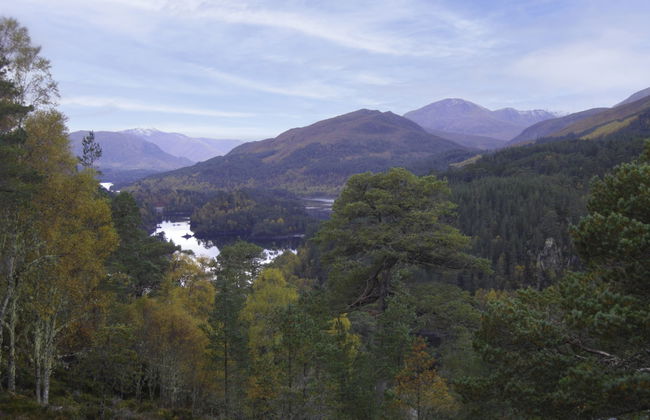 Balnain 3 Bed - Foto 19