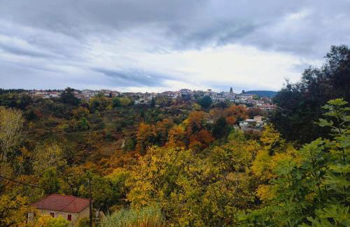 Sto Dimeiko - Foto 5