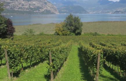 Appartamento seminterrato Villa Sveva Franciacorta - Foto 67