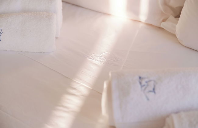 Odyssey Rock - Foto 14