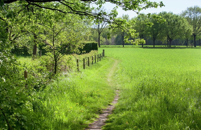 Farmhouse in Sint Joost With Pool & BBQ - Foto 38