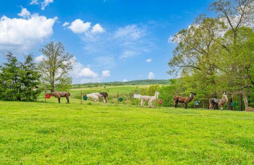 Llama House - Foto 40