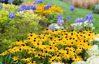 Bressingham Hall - Foto 58