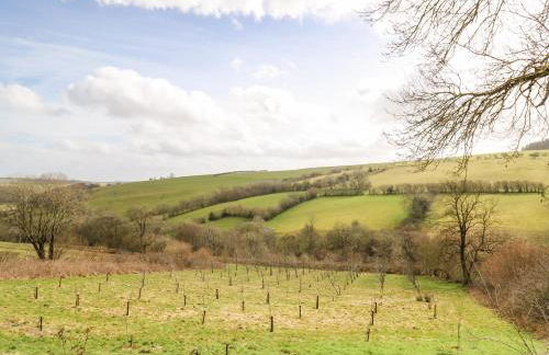 The Orchard - Foto 40