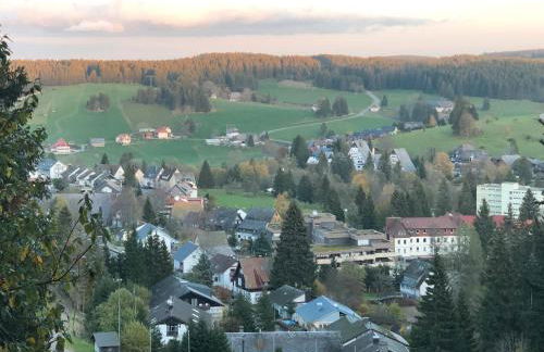 2 Zimmer Wohnung, mit Sonnenterasse - Foto 27