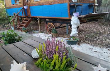 Les roulottes Vesta - Foto 7