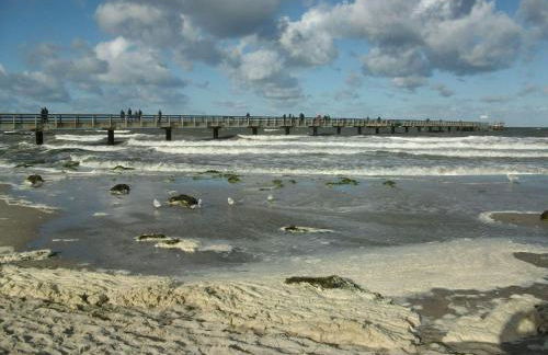 Ferienwohnung-Dorette-in-Stakendorf - Foto 17