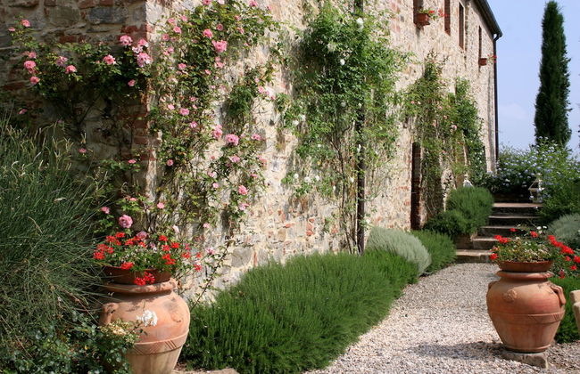 Tenuta Sant'Ilario - Foto 10