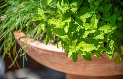 Ferienlandhaus Brunner - Foto 10