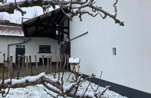 Luxe, landelijke vakantiewoning der alte Birnenbaum Duitsland-Sankt Wendel - Foto 40