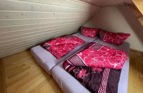 At the Saaler Bodden - Foto 36