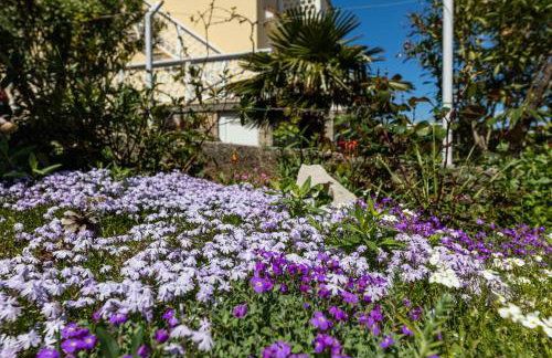 Apartman Gržetić - Foto 31