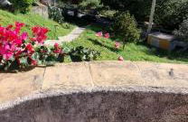 Casale di Sicilia - Foto 60