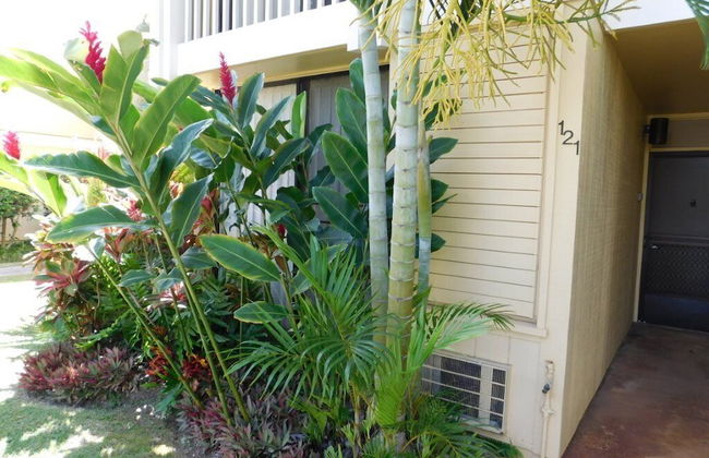 Turtle Bay Guava**ta-009966796801 1 Bedroom Condo by RedAwning - Foto 13