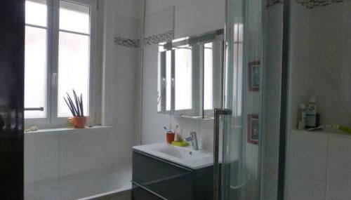 Maison confortable et jardin à Lille - Foto 3, Shower