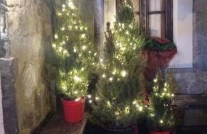 Wellness Snow Loft - Sauna privata & Vista Monti- Vicino alle piste - Prato Nevoso - Foto 22