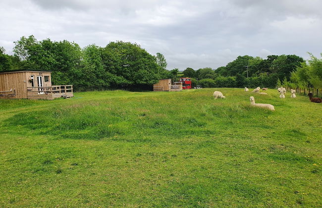 Double Decker Bus on an Alpaca Farm Sleeps 8 - Foto 55