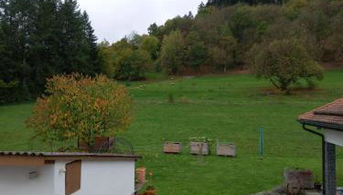 Ferienwohnung Zum Bienenstock - Foto 5