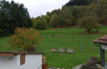 Ferienwohnung Zum Bienenstock - Photo 5