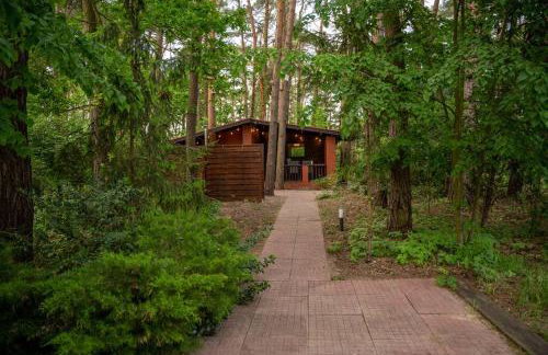 Zacisze Narwi - Foto 36