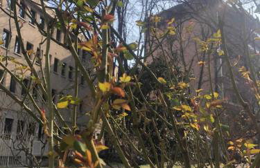 Milano MISSORI Rose garden view - Foto 11