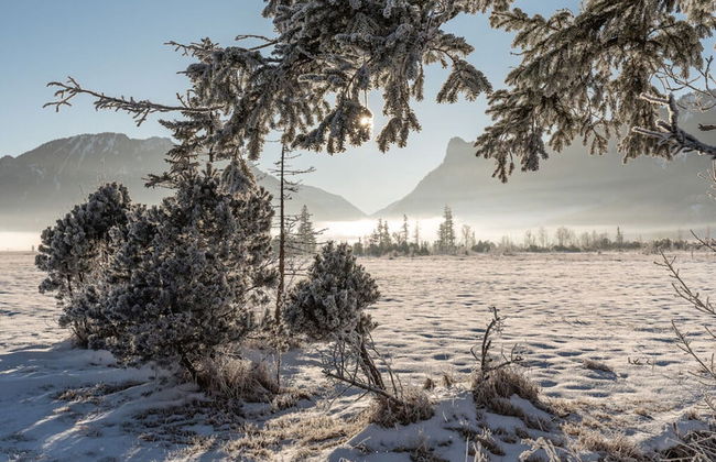 Apartments Christiane - Foto 15