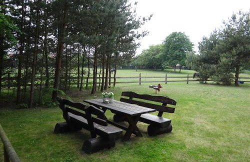 Finnhütte Fisch - Wittenbecker Tannen - Foto 7