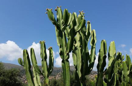 Emerald Hotel - Foto 31