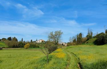 Podere Gian Battaglia - Foto 34