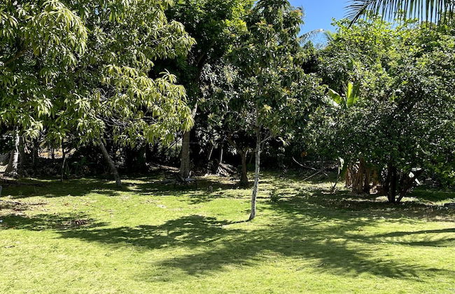 Dawsons Hideaway - Foto 80