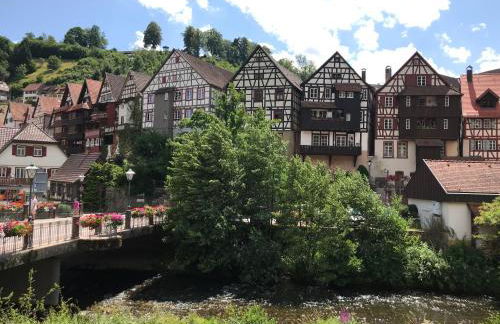 S-VILLA Apartments im Schwarzwald - Foto 8