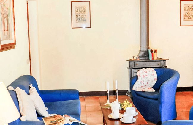 L'Agrifoglio - Foto 7