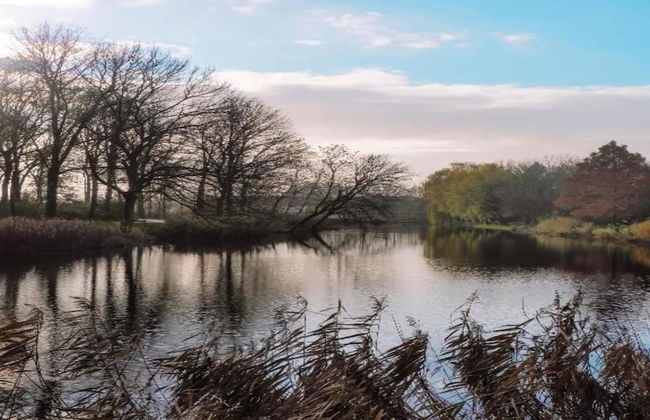 Villa Oesterdam 6 Persons - Photo 29