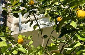 Borgo dei Sogni - Deluxe Apartment - Lago di Garda - Foto 46