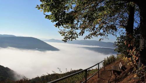 Gemütliche Ferienwohnung in ländlicher Idylle - Foto 3