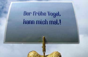 Wie im Himmel - Photo 11