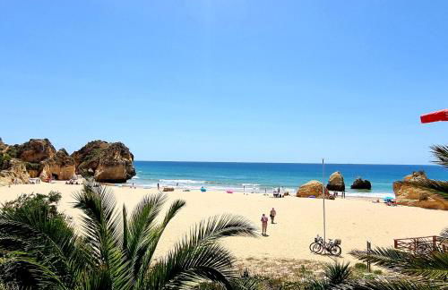 Casa Dourada - Foto 39